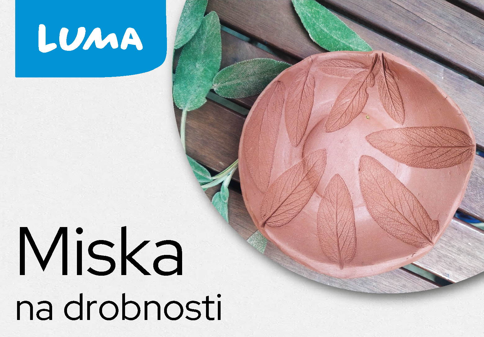 MISKA NA DROBNOSTI MISKA NA DROBNOSTI