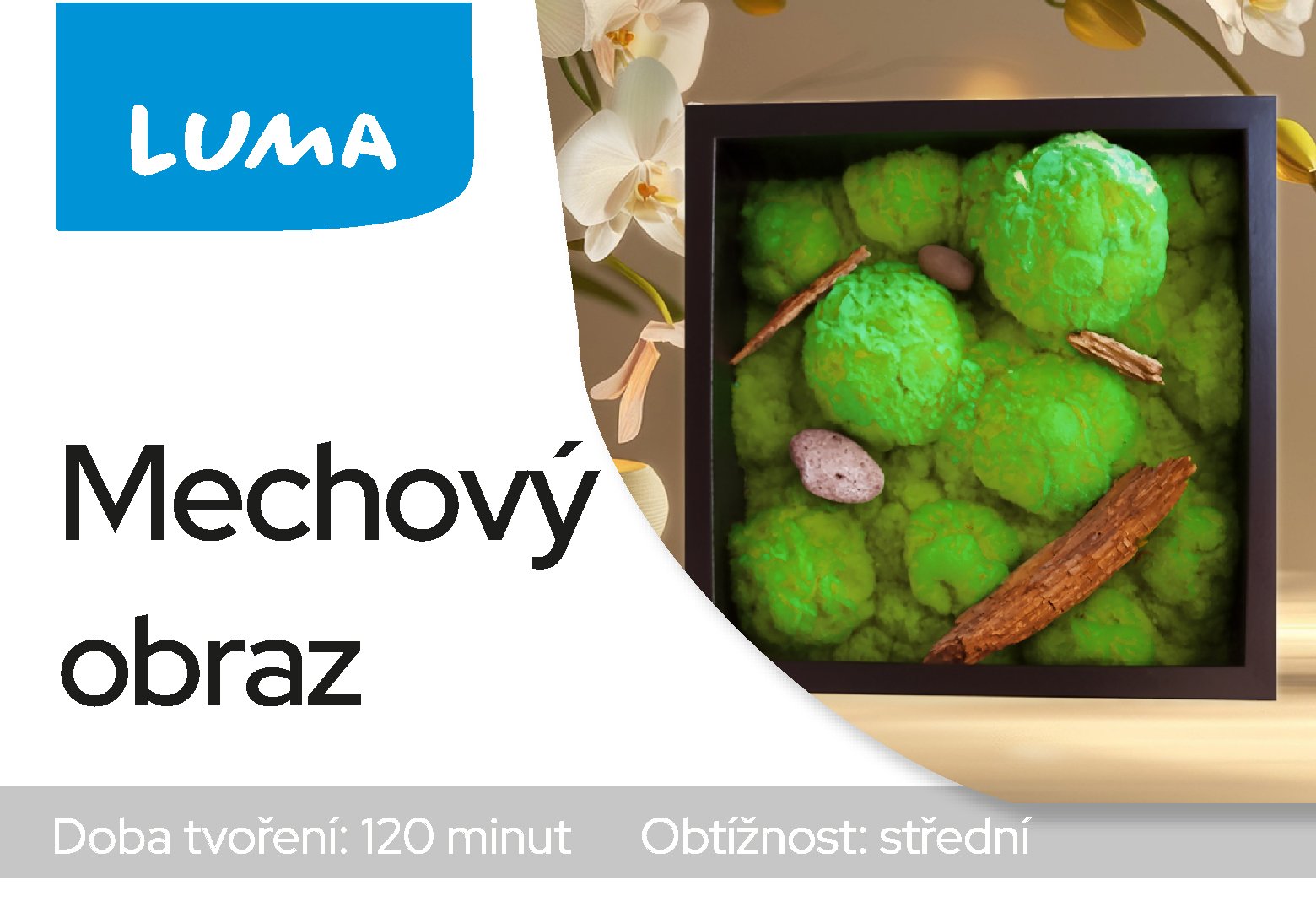 MECHOVÝ OBRAZ
